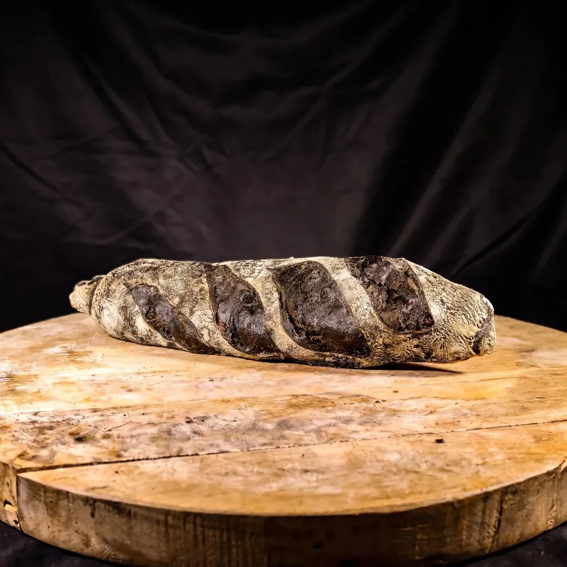Sepia-Cranberrybaguette – Kaffeehaus Gräfe