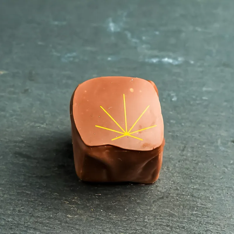 Hanfpraline – Kaffeehaus Gräfe